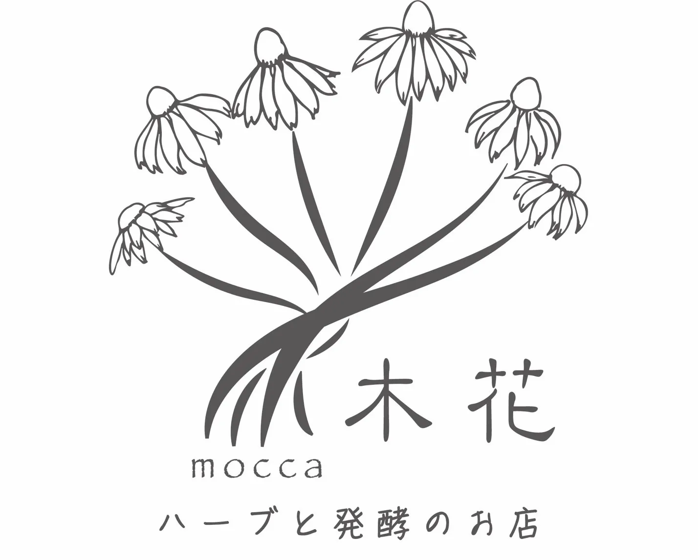 ハーブと発酵のお店 mocca